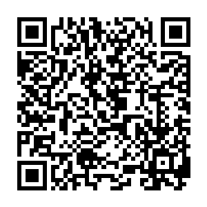 龙野好像料到他的动作一般抬脚闪开然后落下的脚直直的把飞达的腿给踩在地上二维码生成