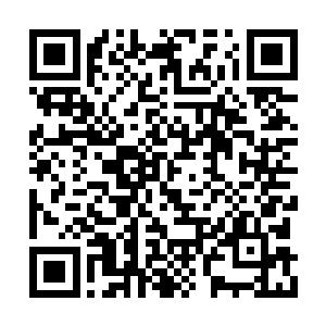 龙野明知道自己喜欢乌灵也明白乌灵对他的感情二维码生成