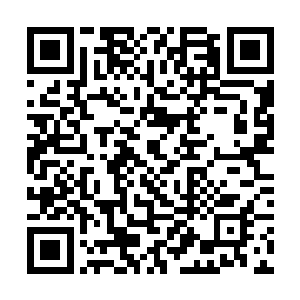 龙野这才发现不知道什么时候开始身边多了几个女孩二维码生成