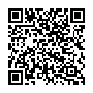 龙阳只看了一眼便明白了雷腾风为何说今日和前几日为何不同了二维码生成