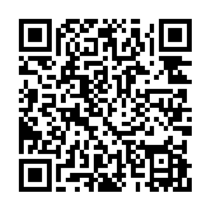 龙雷木也意识到韩风恐怕不是九变神王那么简单二维码生成