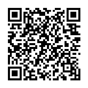 龙霸天听到龙天行这一路上的称赞之后也是心中十分的兴奋二维码生成