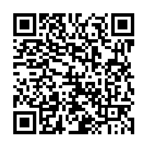 龙霸天知道要是不说清楚的话他们是肯定不会听自己的二维码生成