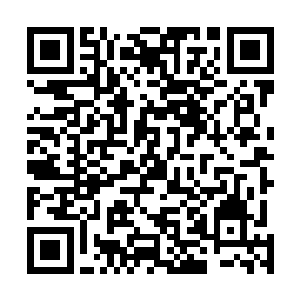 龙风将蕴含世界本源比较多并且质量比较高的一部分拿走二维码生成