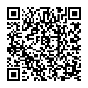 龙飞带回来的消息让整个县委县府班子都像是打了鸡血一般激动起来二维码生成