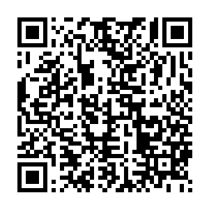 龙鼎天本想顺着刚刚龙文瀚的话往下说想让龙幼萱和莫小鱼试试呢二维码生成