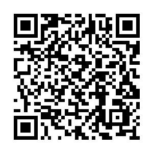 龙龟王也同样承受了巨浪和元素潮汐的连环冲击二维码生成