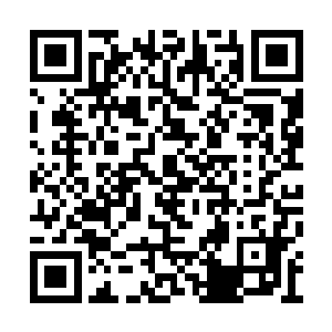 龙龟王体内的病毒之力所受到的压制也越来越小二维码生成