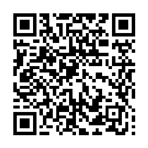 龚共说不需要莉莉妈妈那么麻烦每天特意跑去给他做饭二维码生成