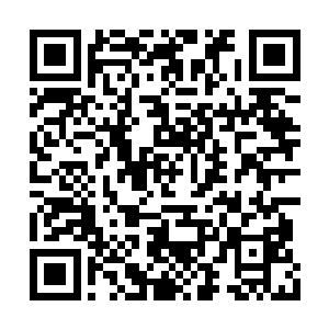 龚刖就算心神不宁也不至于被那魔念轻易侵蚀啊二维码生成