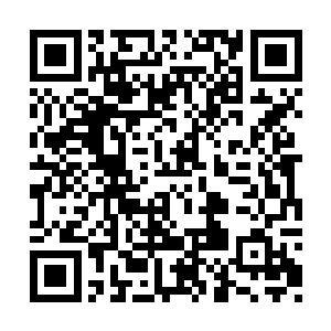 龚明和许量天四个人纵起身形向着迷宫急速飞去二维码生成