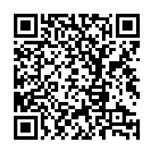 龟族王者战胜泰鸿家族老祖宗的事情很快就传遍了整个龟族二维码生成