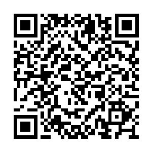 --小丑杰客并没有在地球找到小惠的本源基因二维码生成