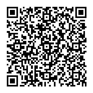 ====那些能量一进入池佳一体内便迅速的融入池佳一的四肢百骸不断的强化着池佳一的肉身二维码生成