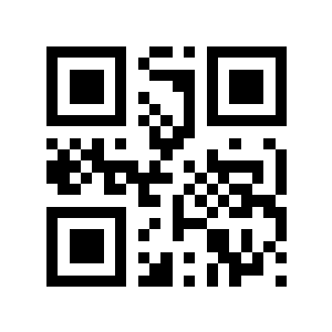 0513828806533p二维码生成