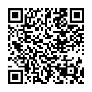 1号所有留言全部在我无限的沉醉中认真地一一回复完了二维码生成