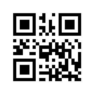 100级二维码生成