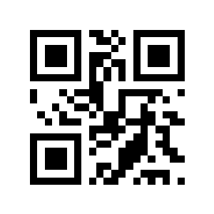 11版本二维码生成