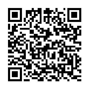 12名高级会员的代表西蒙斯在所有的竞选人发言结束之后说道二维码生成