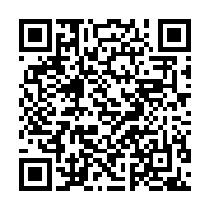 12毫米霰弹枪的枪口就在咫尺之遥的车窗外喷射火舌二维码生成