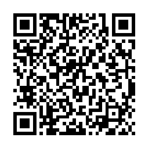 1228812288其实自从登上这九重天雷台的第六重的时候二维码生成