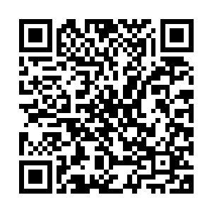 135战略侦察机的侦查结果还是曙光女神的侦查结果是在说笑话二维码生成