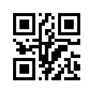 1925年二维码生成