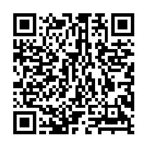 2人的身高差真的和金在珉之前说的那样是最萌身高差二维码生成