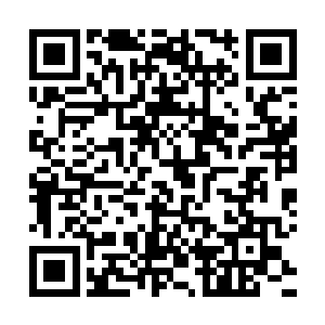 20多位仙人的肉体和仙道以肉眼可见的速度迅速干瘪萎缩下去二维码生成