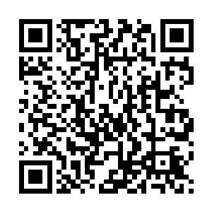 2013年里针对联合国非洲地区部队的袭击事件就达到了61起二维码生成