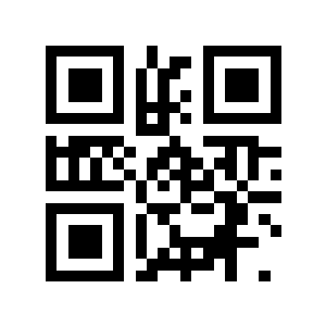 203毫米二维码生成