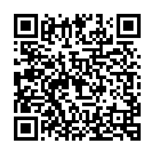 22百度小说人气榜本月人气榜上月人气榜本书排行二维码生成