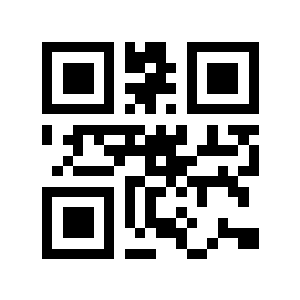 28个美人二维码生成