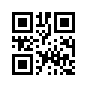 29岁二维码生成