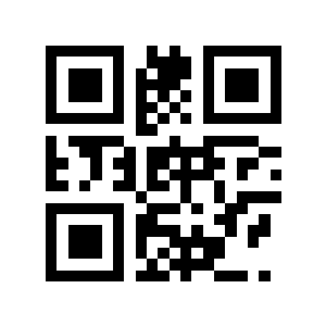 29点二维码生成