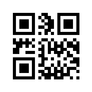 295606747二维码生成