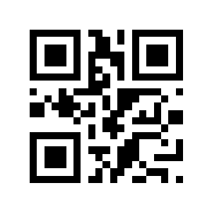 300元二维码生成