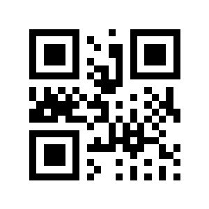 300000二维码生成