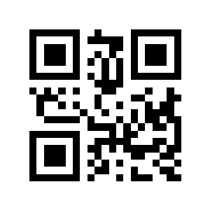 4亿元二维码生成