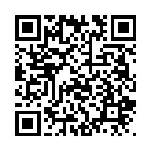 400座精灵城市散落在广袤的精灵森林中二维码生成