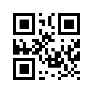 42亿元二维码生成