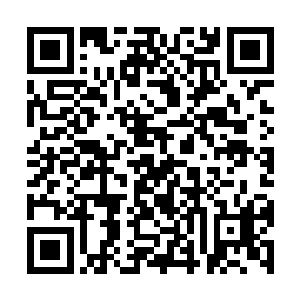 42百度小说人气榜本月人气榜上月人气榜本书排行二维码生成