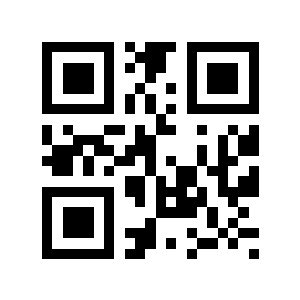 46亿元二维码生成