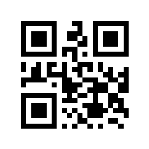 53亿元二维码生成