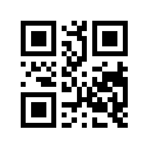 6倍大二维码生成