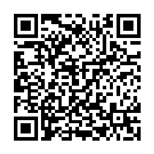 81个人族的骑士组成的三位一体黄金战阵刚刚崩溃二维码生成