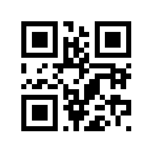 9亿元二维码生成