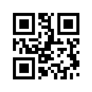 9状态二维码生成