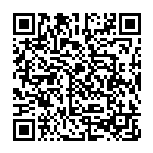 90%以上的人遇到这种情况所做的第一个反应肯定是想往人多的野狼城堡方向逃跑二维码生成