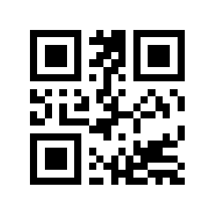 91亿的二维码生成